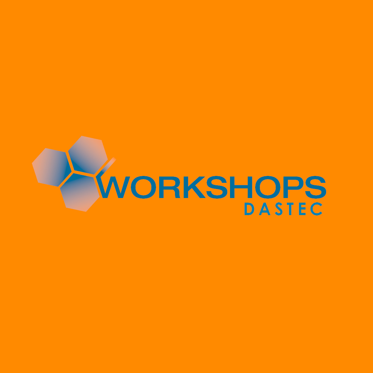 WORKSHOPS DASTEC